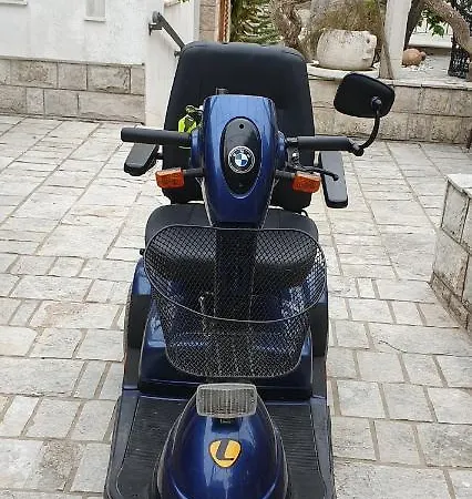 Kralj1